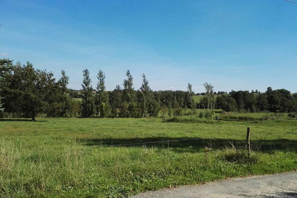 Ferienwohnung In Mittelsaida Grosshartmannsdorf Εξωτερικό φωτογραφία